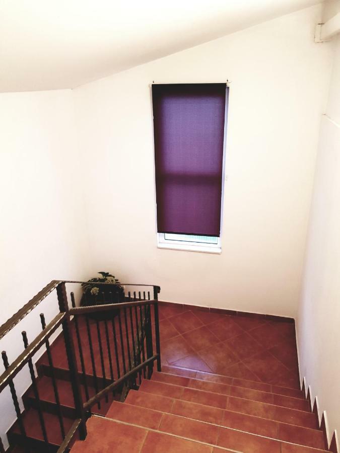 Apartments Petrovic พิโรวัซ ภายนอก รูปภาพ